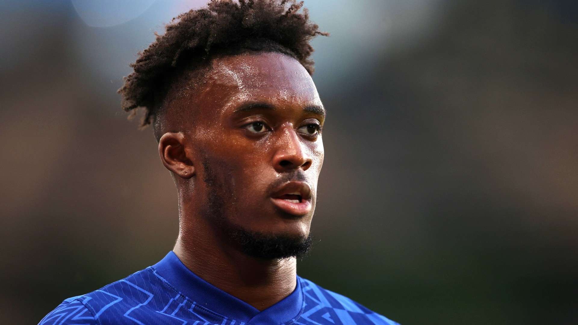 尽管他们目 尽管他们目